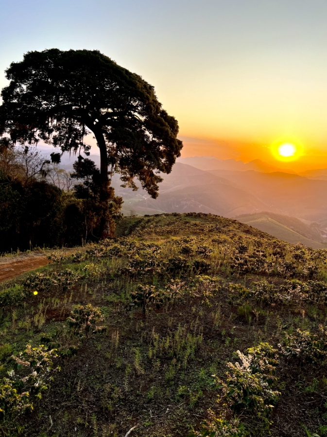 Foto de paisagem com por do sol